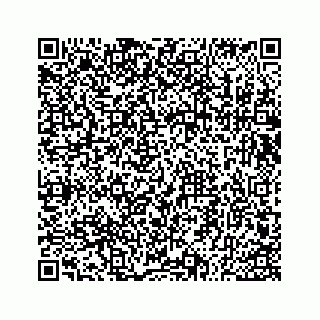 vCard 73533530289