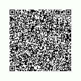vCard 73533530290
