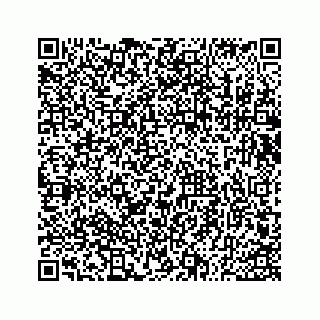 vCard 73533530291