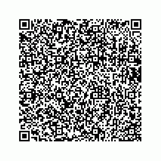 vCard 73533530293