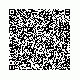 vCard 73533530295