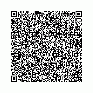 vCard 73533530297
