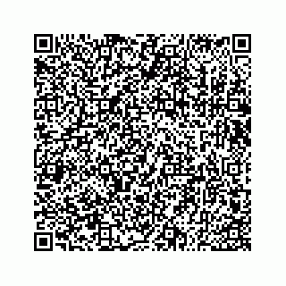 vCard 73533530299