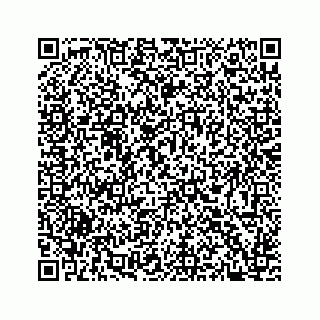vCard 73533530300