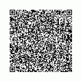 vCard 73533530301