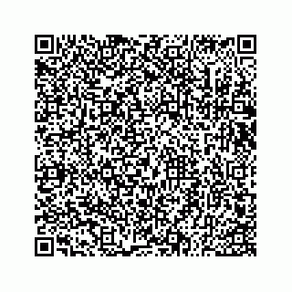 vCard 73533530309