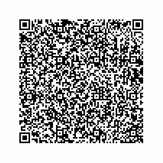 vCard 73533530310