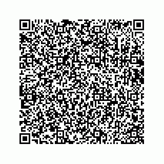vCard 73533530311