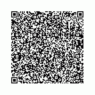 vCard 73533530312