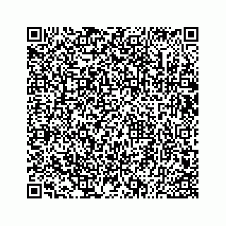 vCard 73533530314