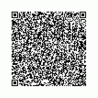 vCard 73533530315