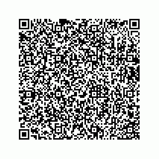 vCard 73533530317