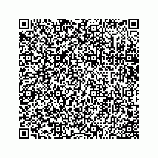 vCard 73533530319