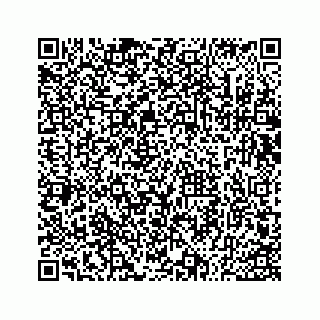 vCard 73533530320