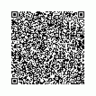 vCard 73533530321