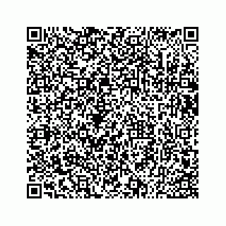 vCard 73533530322