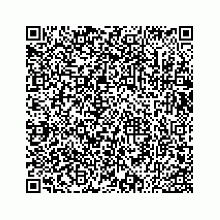 vCard 73533530325