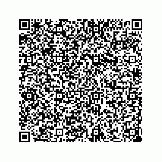 vCard 73533530329