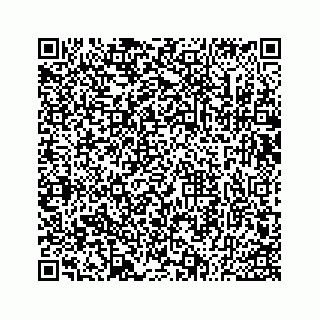 vCard 73533530330