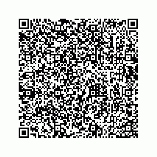 vCard 73533530331