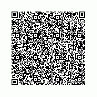 vCard 73533530334