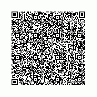 vCard 73533530335
