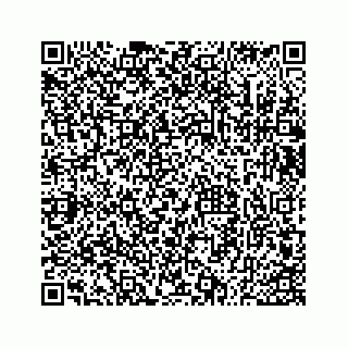 vCard 73533530337
