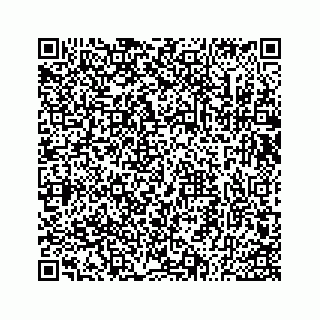 vCard 73533530339