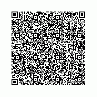 vCard 73533530341