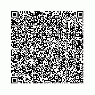 vCard 73533530369