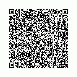 vCard 73533530370