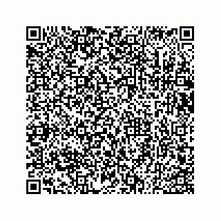 vCard 73533530372