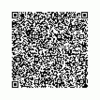 vCard 73533530374