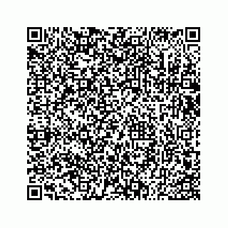vCard 73533530375