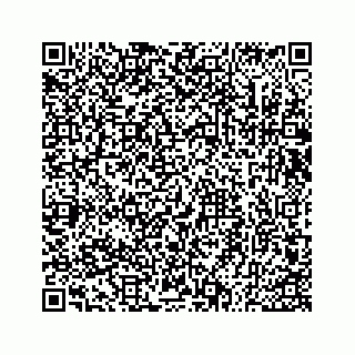 vCard 73533530379