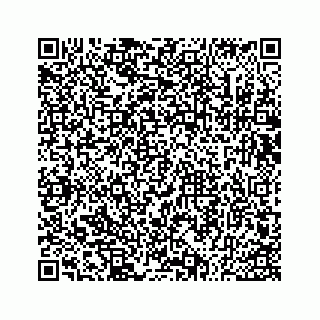 vCard 73533530380