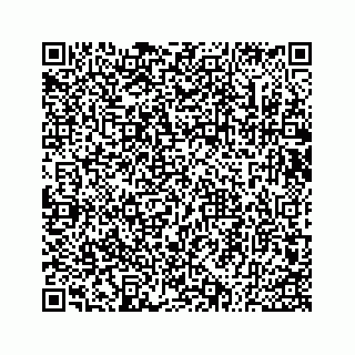 vCard 73533530381