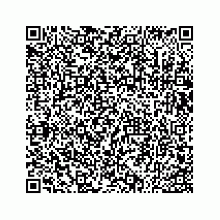 vCard 73533530384