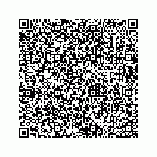vCard 73533530385