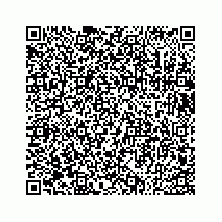 vCard 73533530387