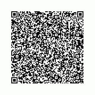vCard 73533530389