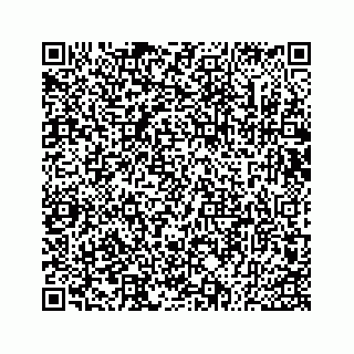 vCard 73533530390