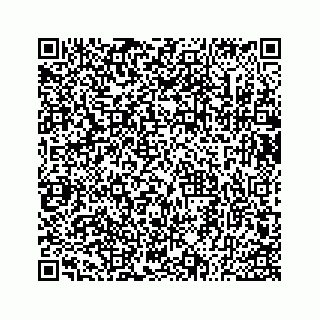 vCard 73533530393