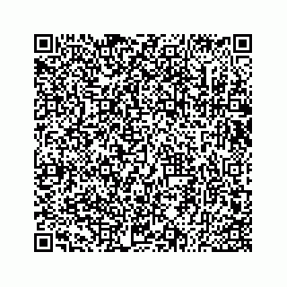 vCard 73533530399