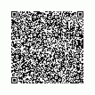 vCard 73533534393