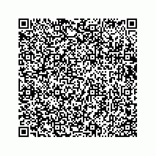 vCard 73533534419