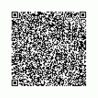 vCard 73533536256