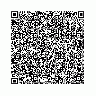 vCard 73533536272