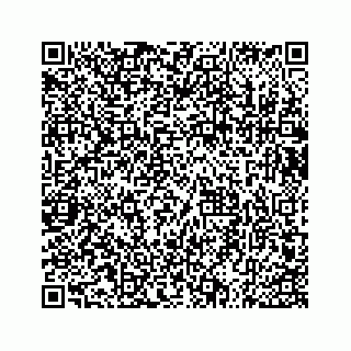 vCard 73533536293