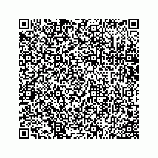 vCard 73533536300